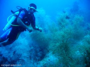 Diving on Camiguin Island, Philippines